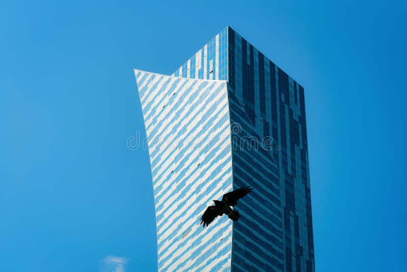 Arranha-céus e pássaro modernos na baixa da cidade de Varsóvia imagem de stock Arranha-céus e pássaro modernos na baixa da cidade de Varsóvia imagem de stock
