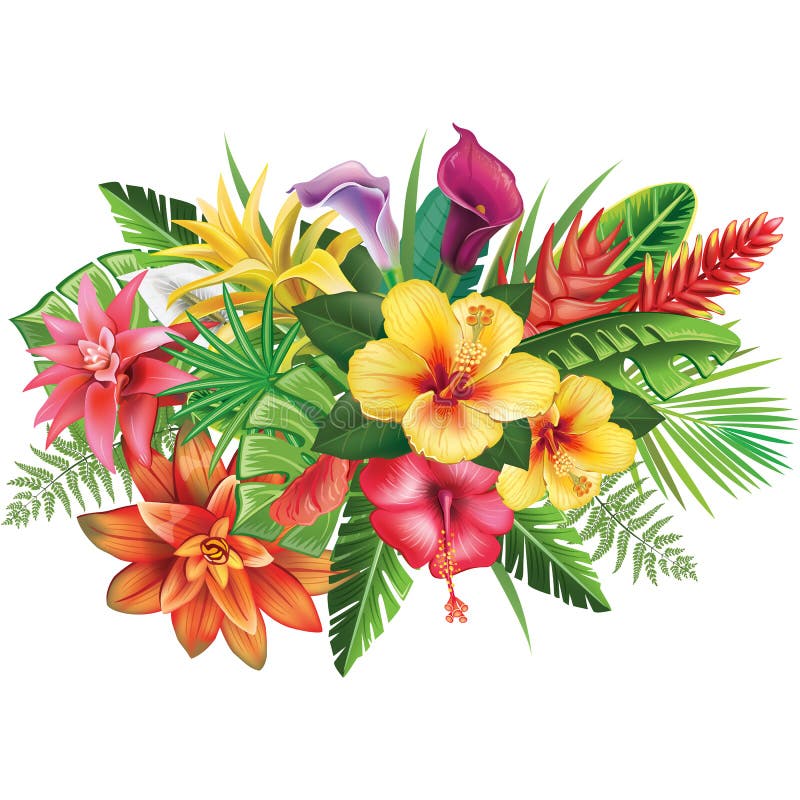Arranjo Das Flores Tropicais Ilustração do Vetor - Ilustração de planta,  vibrante: 96817537