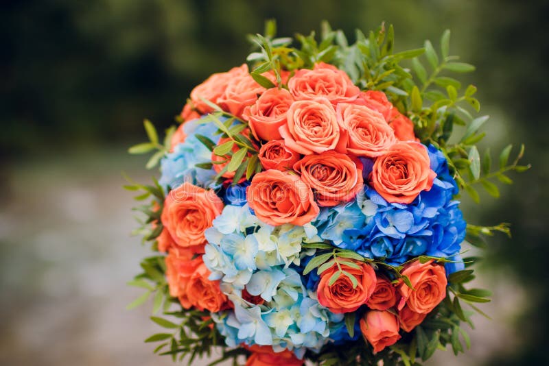 Arranjo De Cor Laranja E Flor Azul Para Um Casamento : Rosas De Laranja E  Larkspur Azuis. Imagem de Stock - Imagem de buquê, decorativo: 223223219