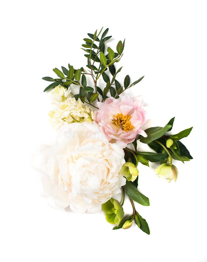 Arranjo de flores da peônia no fundo branco isolado festive imagens de stock Arranjo de flores da peônia no fundo branco isolado festive imagens de stock