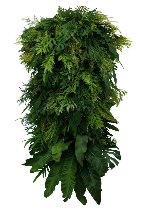 Arranjo floral do arbusto tropical da planta da folha das folhas, vertical