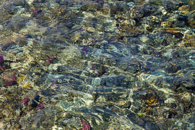 Arrecife de coral colorido bajo superficie ondulada del agua fotografía de archivo Arrecife de coral colorido bajo superficie ondulada del agua fotografía de archivo