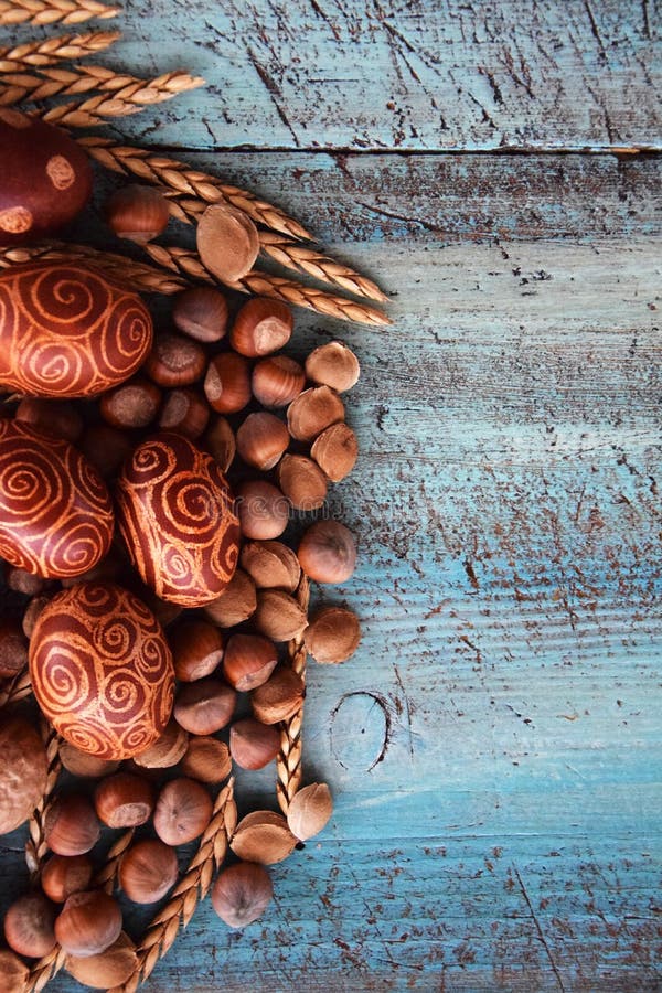 Arreglo natural de los huevos de Pascua con las avellanas, deletreadas, huesos de albaricoque nueces fotografía de archivo Arreglo natural de los huevos de Pascua con las avellanas, deletreadas, huesos de albaricoque nueces fotografía de archivo
