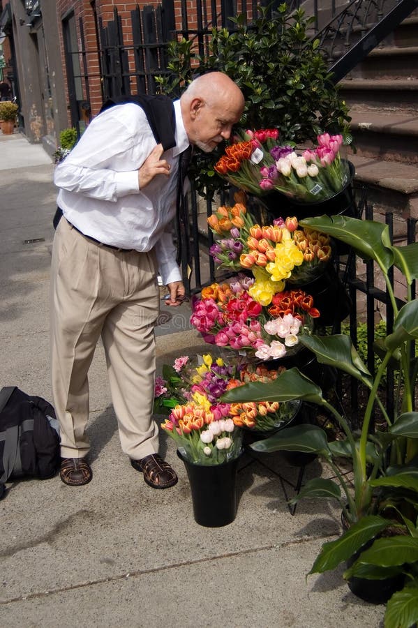 Arresto per sentire l'odore dei fiori fotografie stock Arresto per sentire l'odore dei fiori fotografie stock