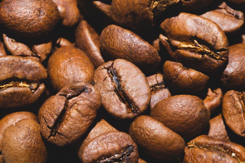 Arrière-plan des fèves de café macro fèves de café grillées image stock Arrière-plan des fèves de café macro fèves de café grillées image stock