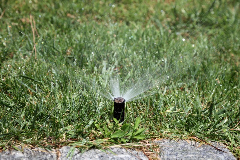 Generic Système d'arrosage automatique à rotation 360° pour jardin