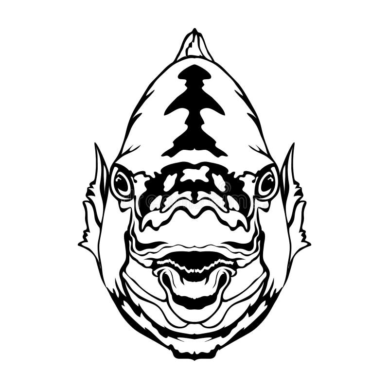 Arrot Fish Face Vector Illustration in Hand Drawn Style Stock