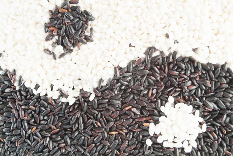 Arroz Negro Vs Arroz Blanco Arroz Negro Vs Arroz Blanco