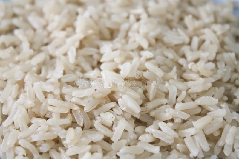 Arroz tailandés de Brown foto de archivo Arroz tailandés de Brown foto de archivo
