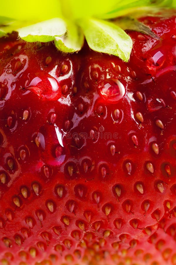 Art background summer fresh strawberry