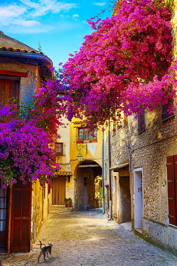 Art beautiful old town of Provence stock images Art beautiful old town of Provence stock images