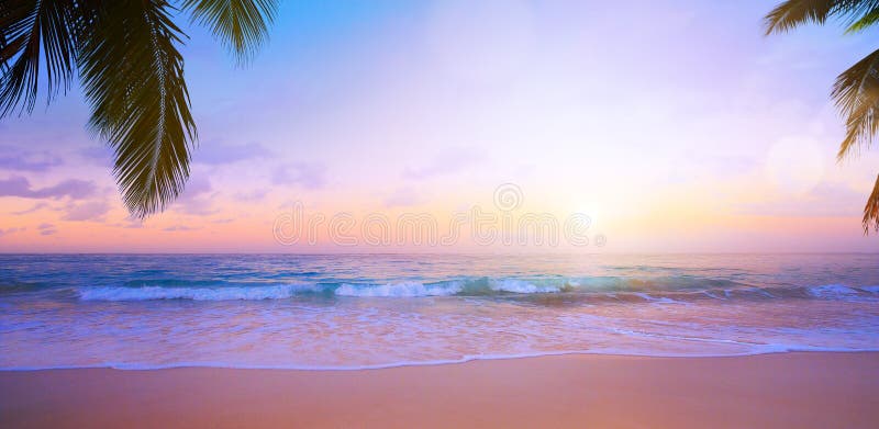 Hawaiian Ocean Palm Tree Beach Landscape Picture Art Print sunset waves reflect 