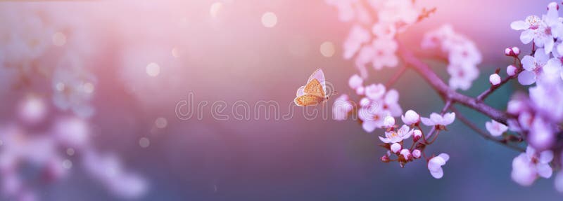 Art blurred nature Spring blossom background. Nature scene with blooming tree Spring flowers and flying butterfly. Beautiful