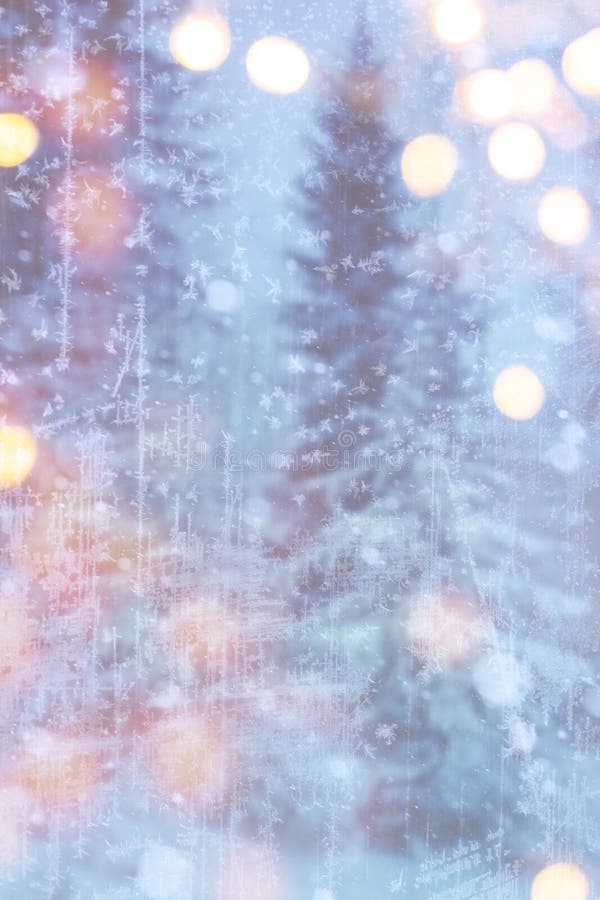 Snowy Forest on Christmas Night Stock Photo - Image of fence, cold ...