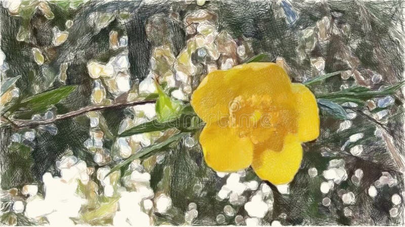 Drawing Color of Yellow Flower Background Stock Video - Video of color, decorative: 153780907