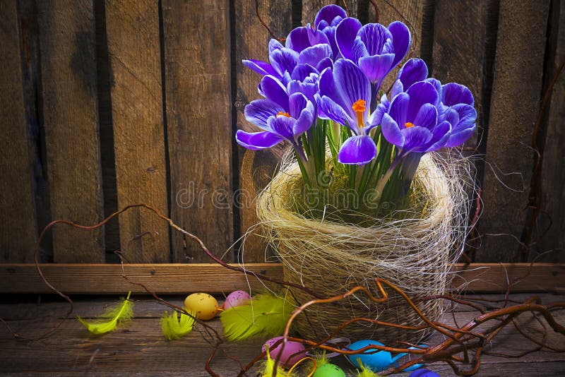 Art Easter Egg basket wooden card crocus spring flower feather