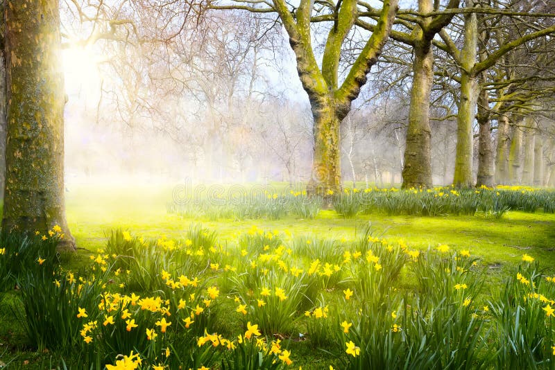 Art Easter landskap; våren blommar i parkera; royaltyfri foto Art Easter landskap; våren blommar i parkera; royaltyfri foto