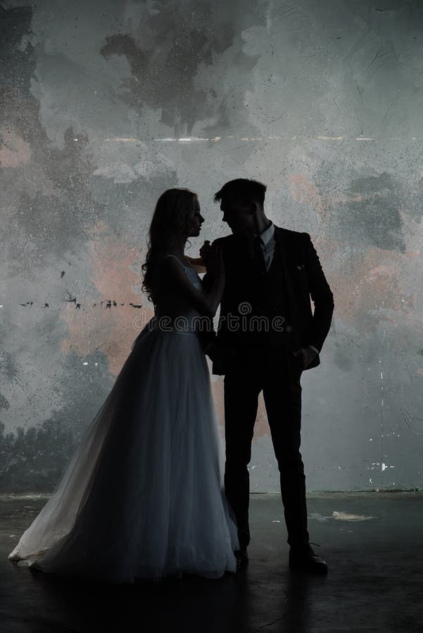 Art fashion studio photo of wedding couple silhouette groom and bride on colors background. Art Wedding style royalty free stock photos Art fashion studio photo of wedding couple silhouette groom and bride on colors background. Art Wedding style royalty free stock photos