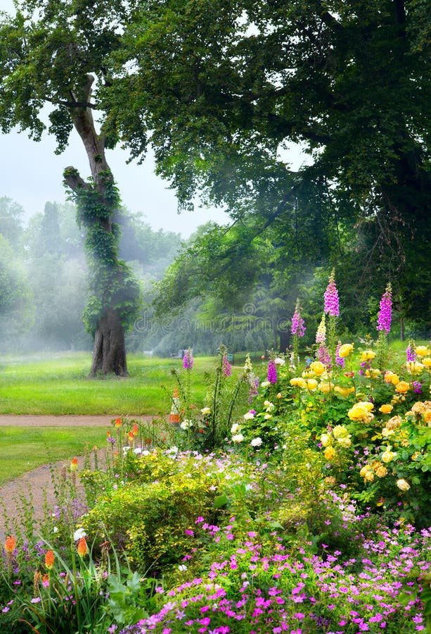Art Flowers in the Morning in an English Park Stock Photo Image of background, roses 40475918
