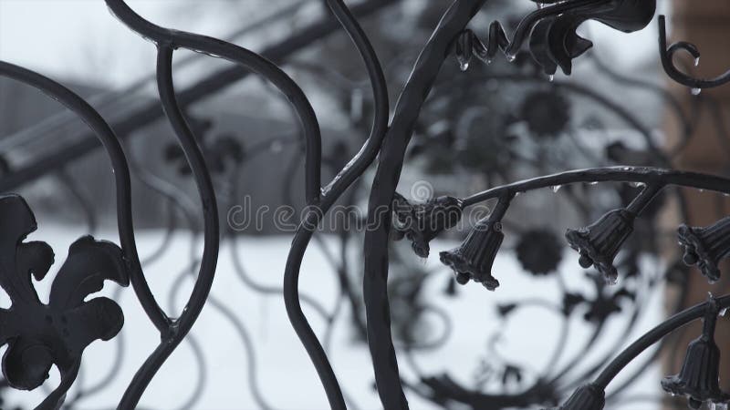 Art forging elements and iron fence. Rough Metal Curly Decorative Elements . Vintage decor Elements. Fence Design