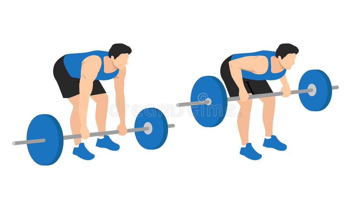 Barbell Bent Over Rows Stock Illustrations 28 Barbell Bent Over Rows