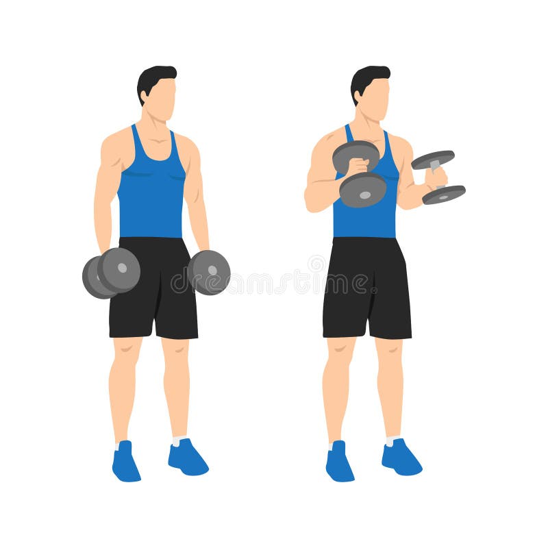 Man doing standing dumbbell bicep hammer curls. Flat vector illustration