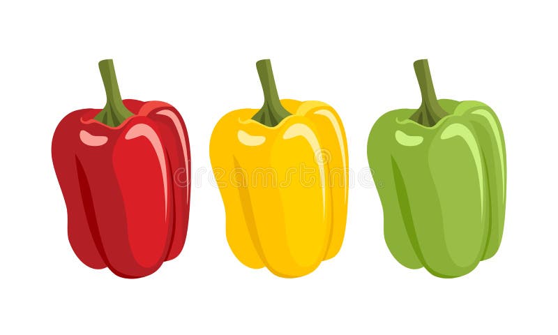 Set of bell peppers in different colors. Yellow, red and green fresh vegetable.