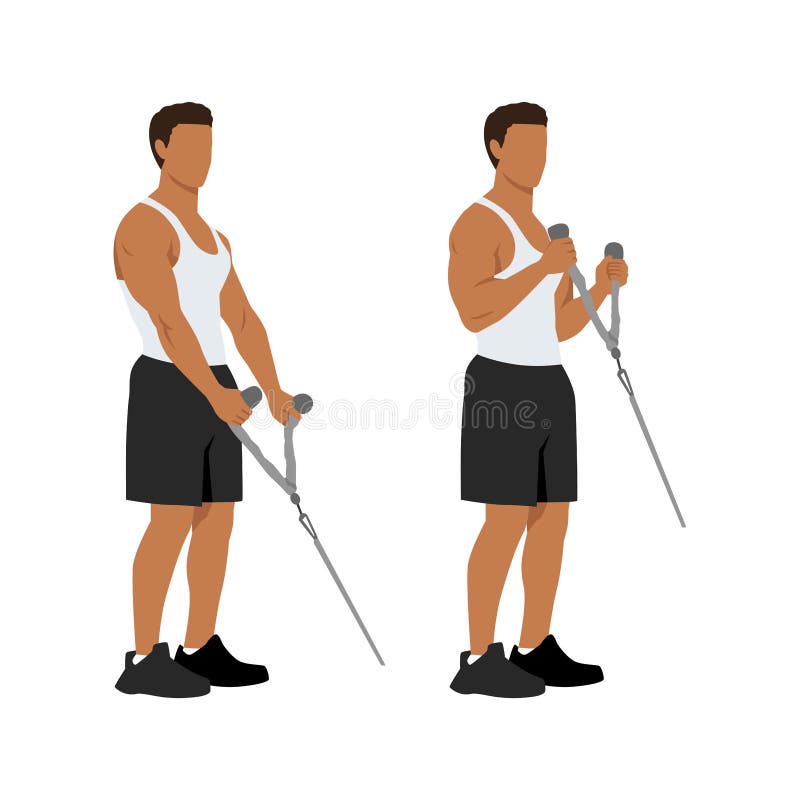 Man doing Cable hammer bicep curls exercise. stock illustration