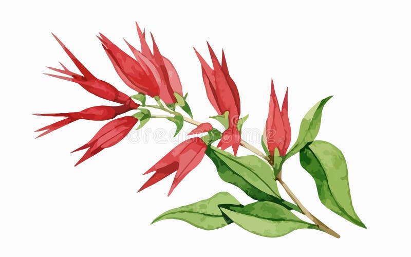 Cardinal Flower Watercolor Created with AI, Nice Looking Stock Vector