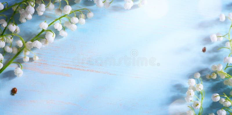 Art Lily valley spring flower on blue background