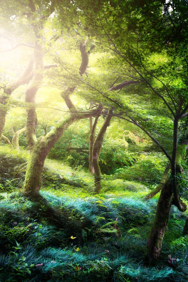 Art peaceful Landscape; Old tree in the old magic park royalty free stock photos Art peaceful Landscape; Old tree in the old magic park royalty free stock photos