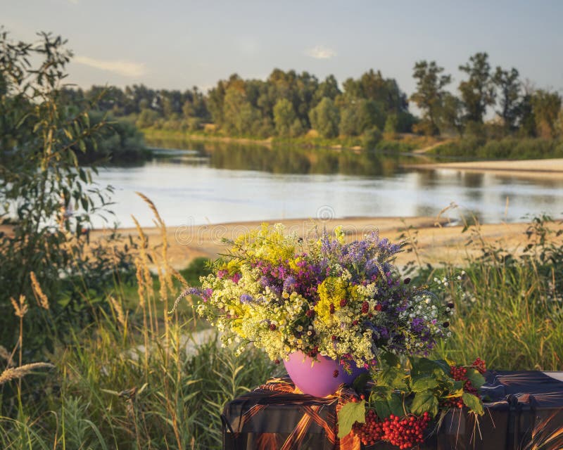 Still Life With Bouquet Of Wildflowers On A River Bank Stock Image