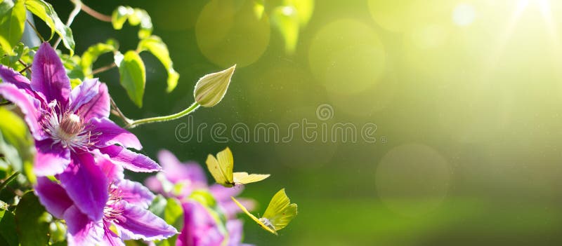 Lente- of zomerbloemenachtergrond; Paaslandschap stock foto