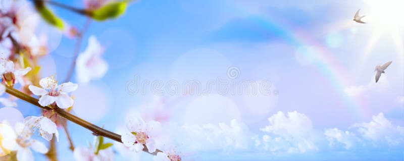 Art Spring flower background; Easter landscape royalty free stock photo