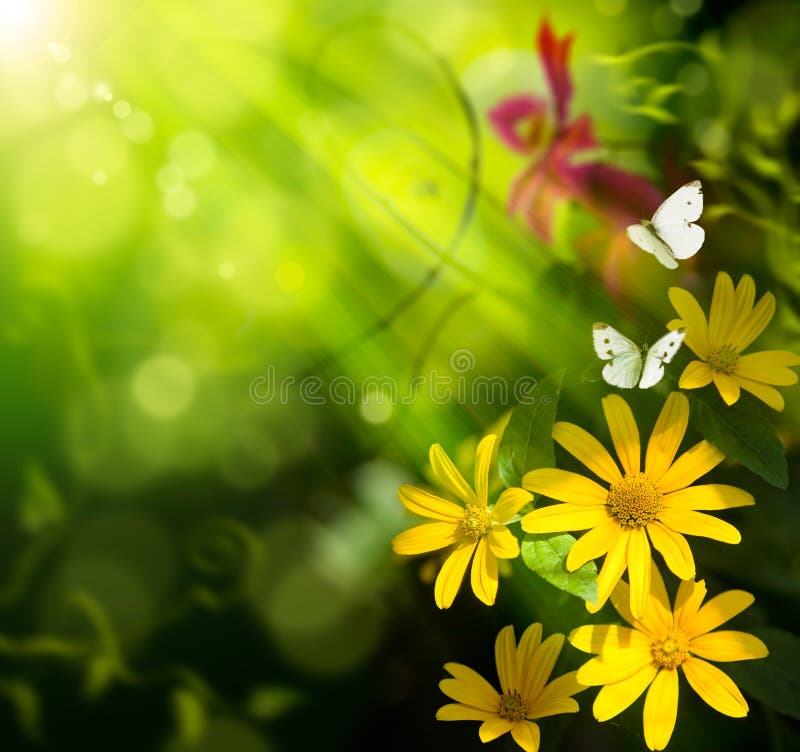 Art summer background. Flower and butterfly royalty free stock photography