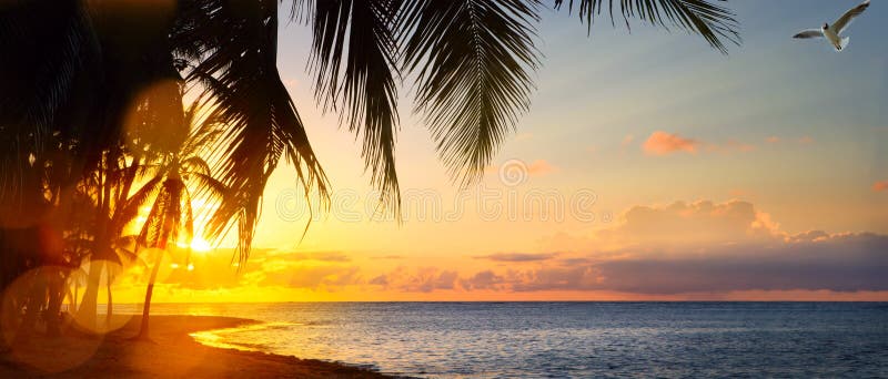 Art sunrise over the tropical beach stock photography