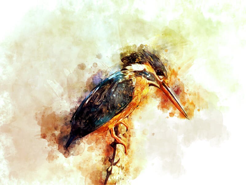 Arte común de Digitaces del martín pescador libre illustration Arte común de Digitaces del martín pescador libre illustration