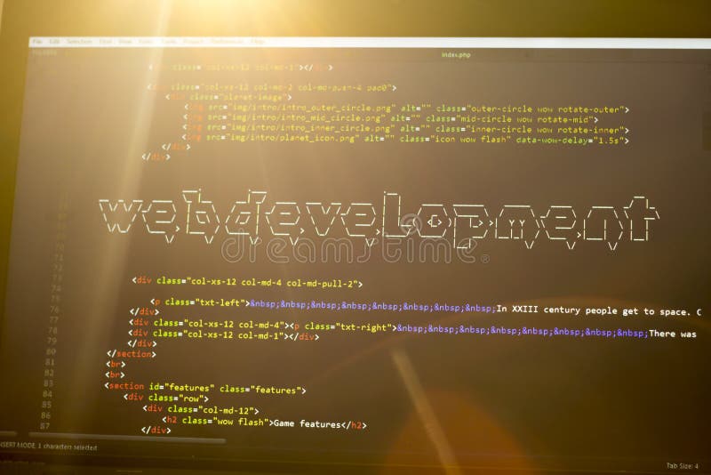 Arte de la frase ASCII del desarrollo web dentro del código real del HTML foto de archivo