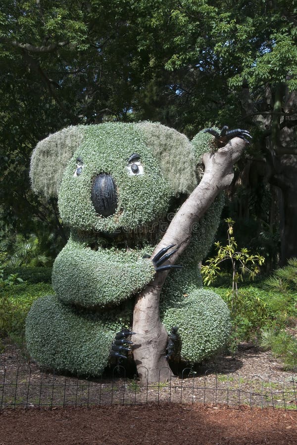 Arte del jardín del oso de koala en el jardín fotografía de archivo libre de regalías Arte del jardín del oso de koala en el jardín fotografía de archivo libre de regalías