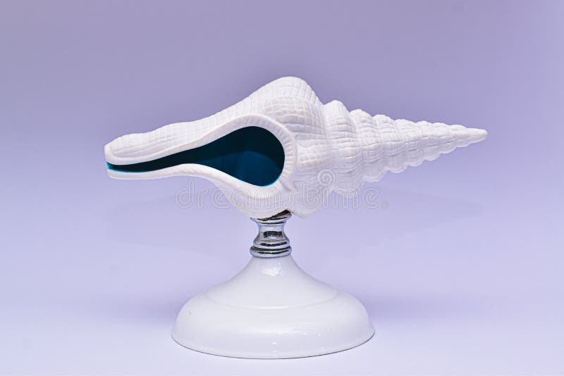 Artefact of indian white conch shell stock photo