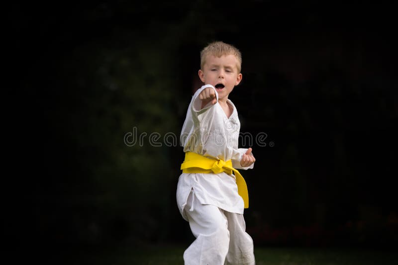 Happy boy athletes karate champions. Happy boy athletes karate champions