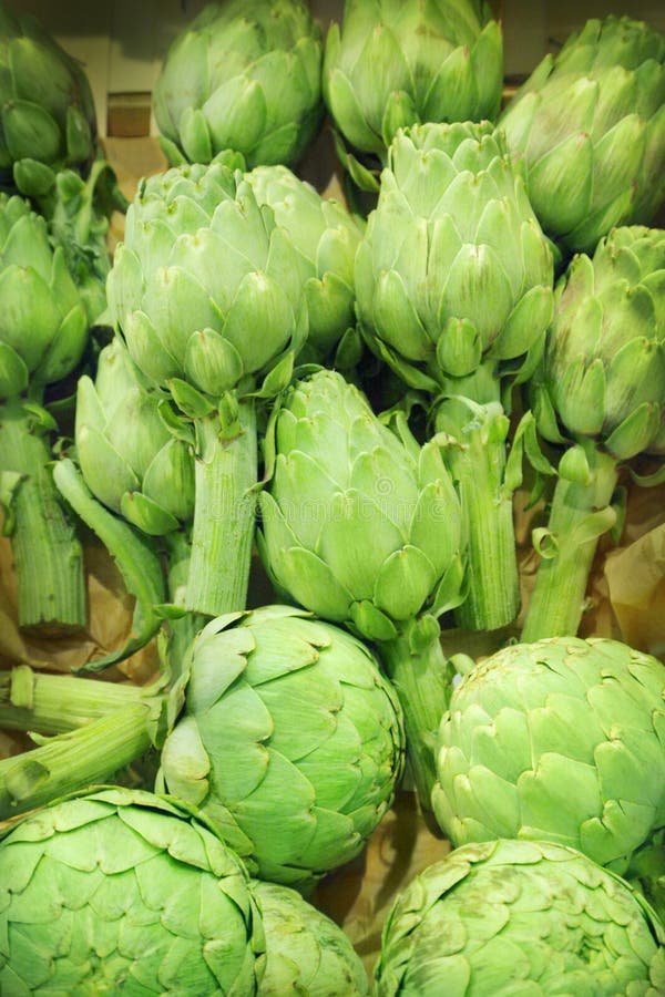 Artichoke stock image. Image of fruit, artichokes, grocery 31770553