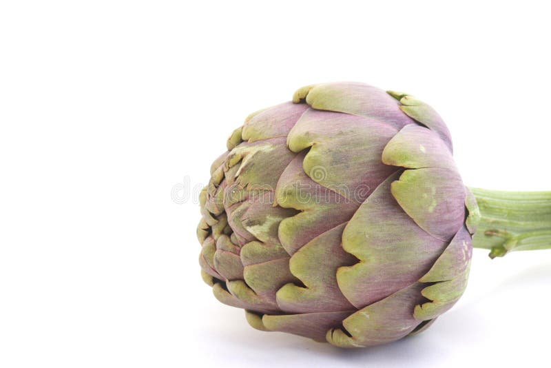 Artichoke