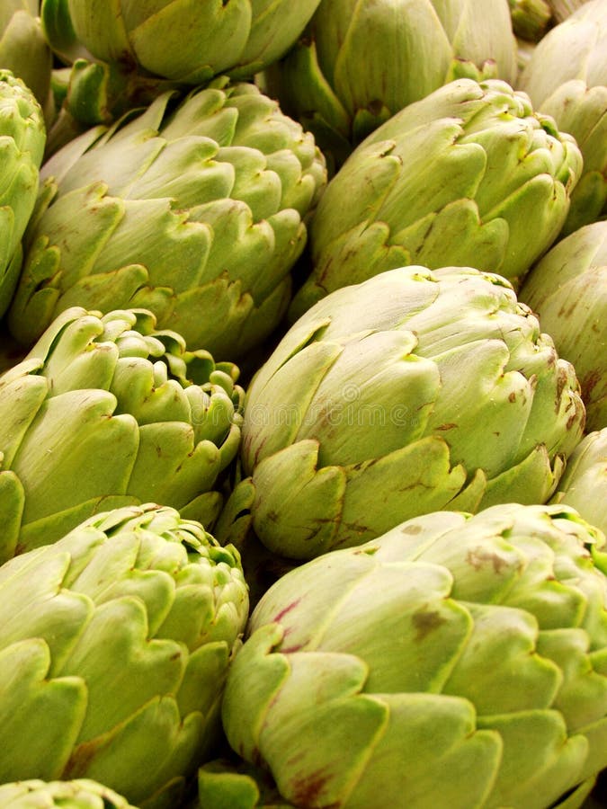 Artichoke