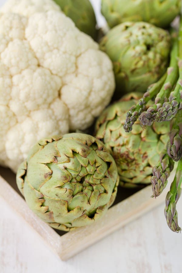 Artichoke with asparagus stock image. Image of nature 31096129