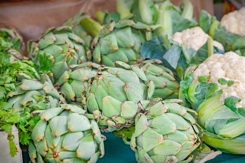 Artichoke stock photo. Image of green, basket, artichokes 250289654