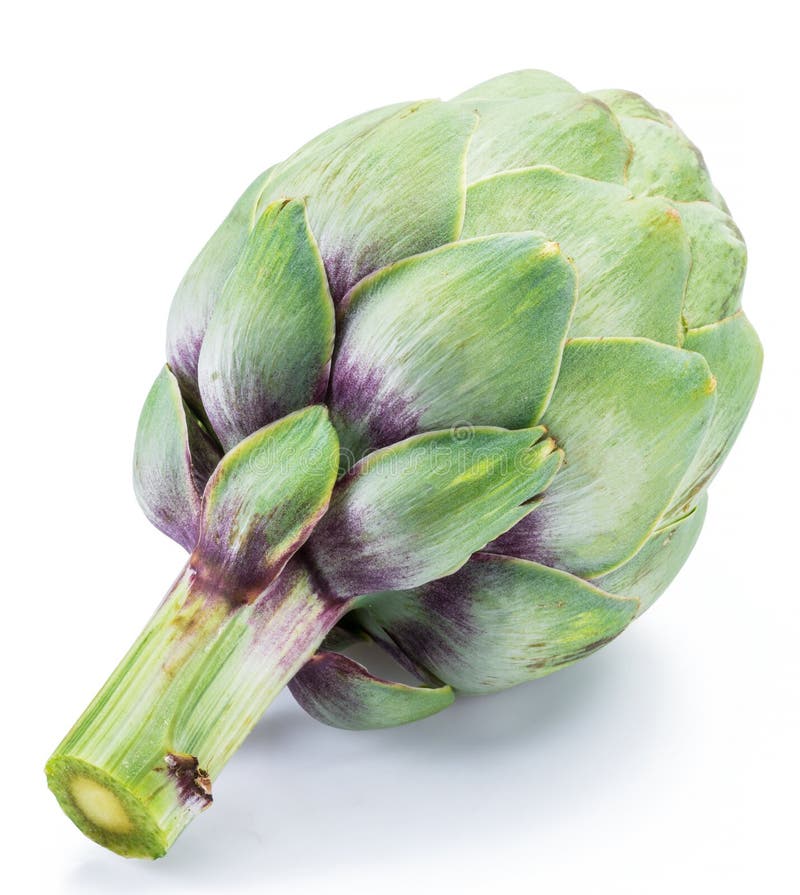 Artichoke Flower, Purple Edible Bud Isolated on White Background Stock