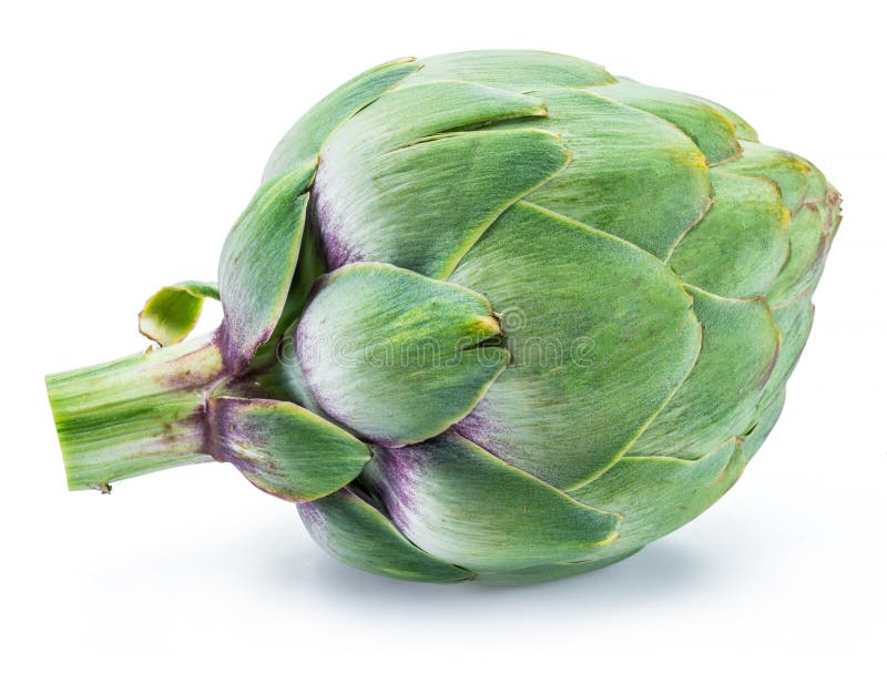 Artichoke Flower stock photo. Image of eating, flowers 23910174