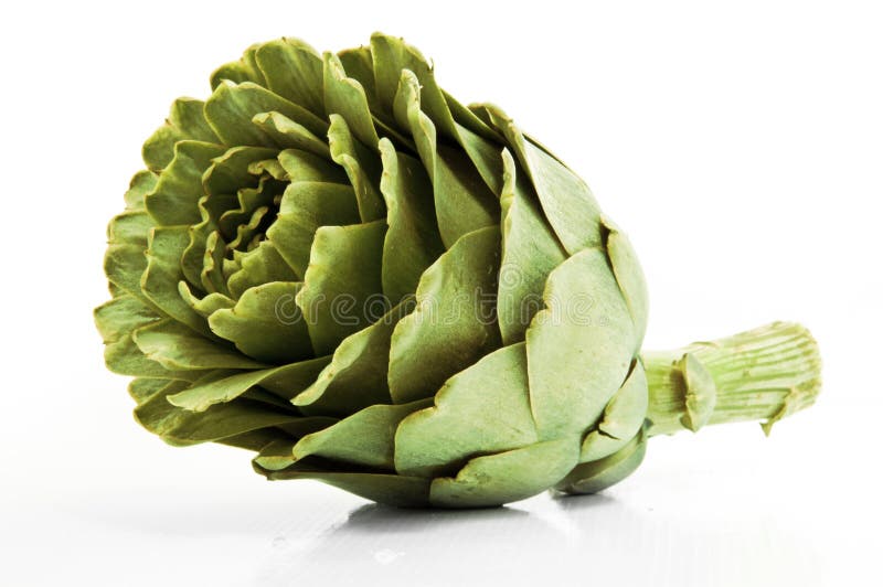 Artichoke Cynara Cardunculus Stock Photo Image of macro, flowers