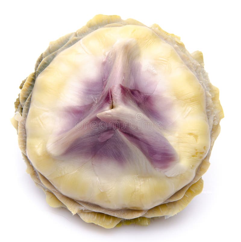 Artichoke heart stock image. Image of appetizer, parmesan 73554461